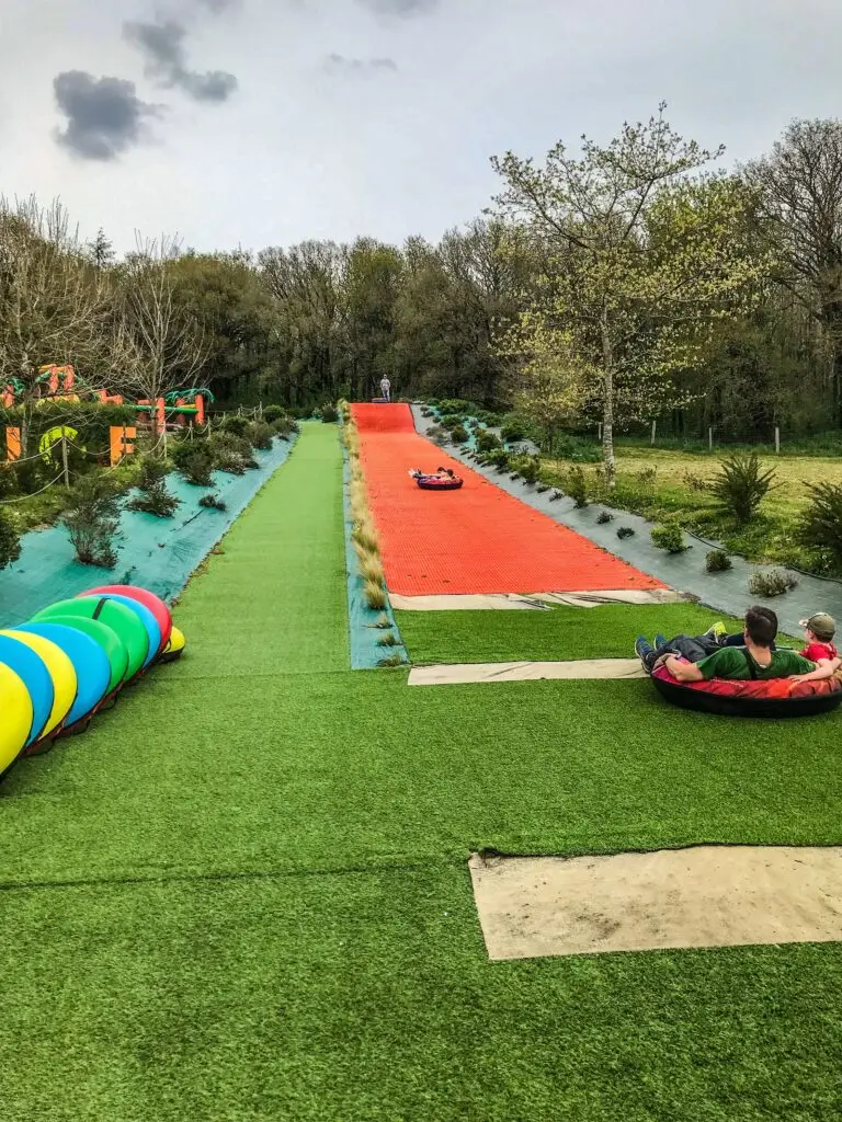 luge