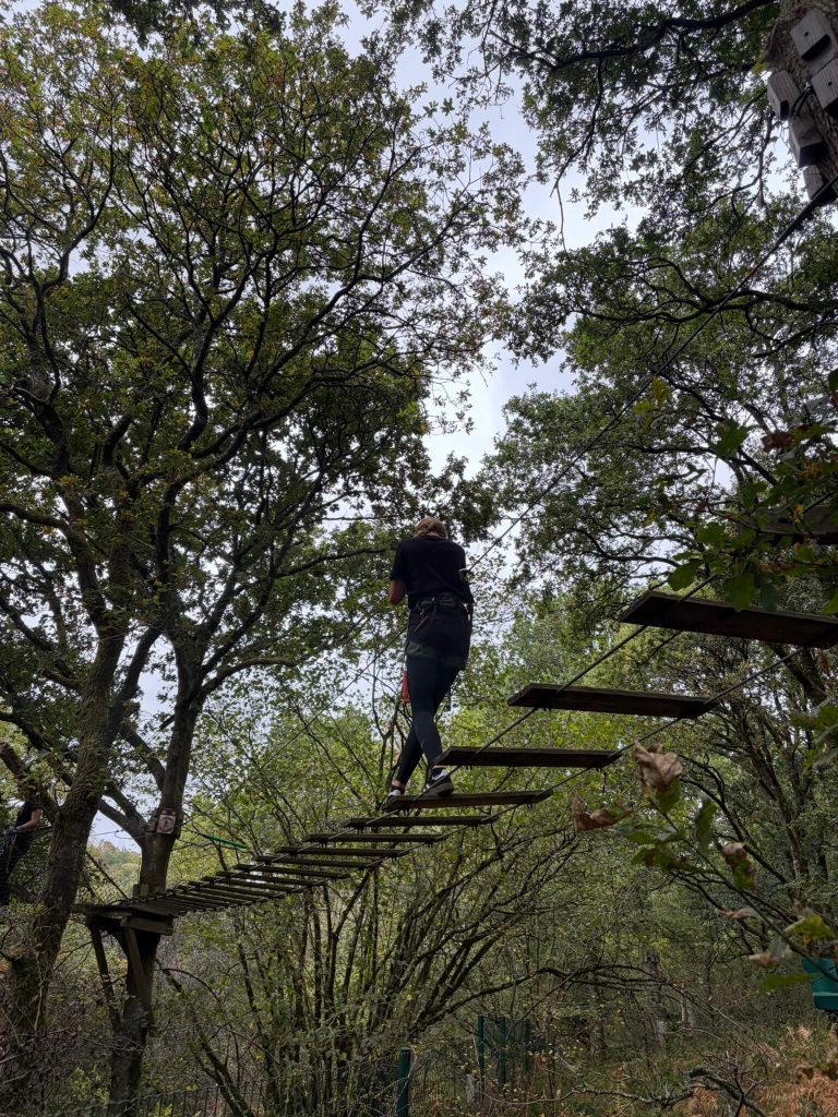 pont de singe